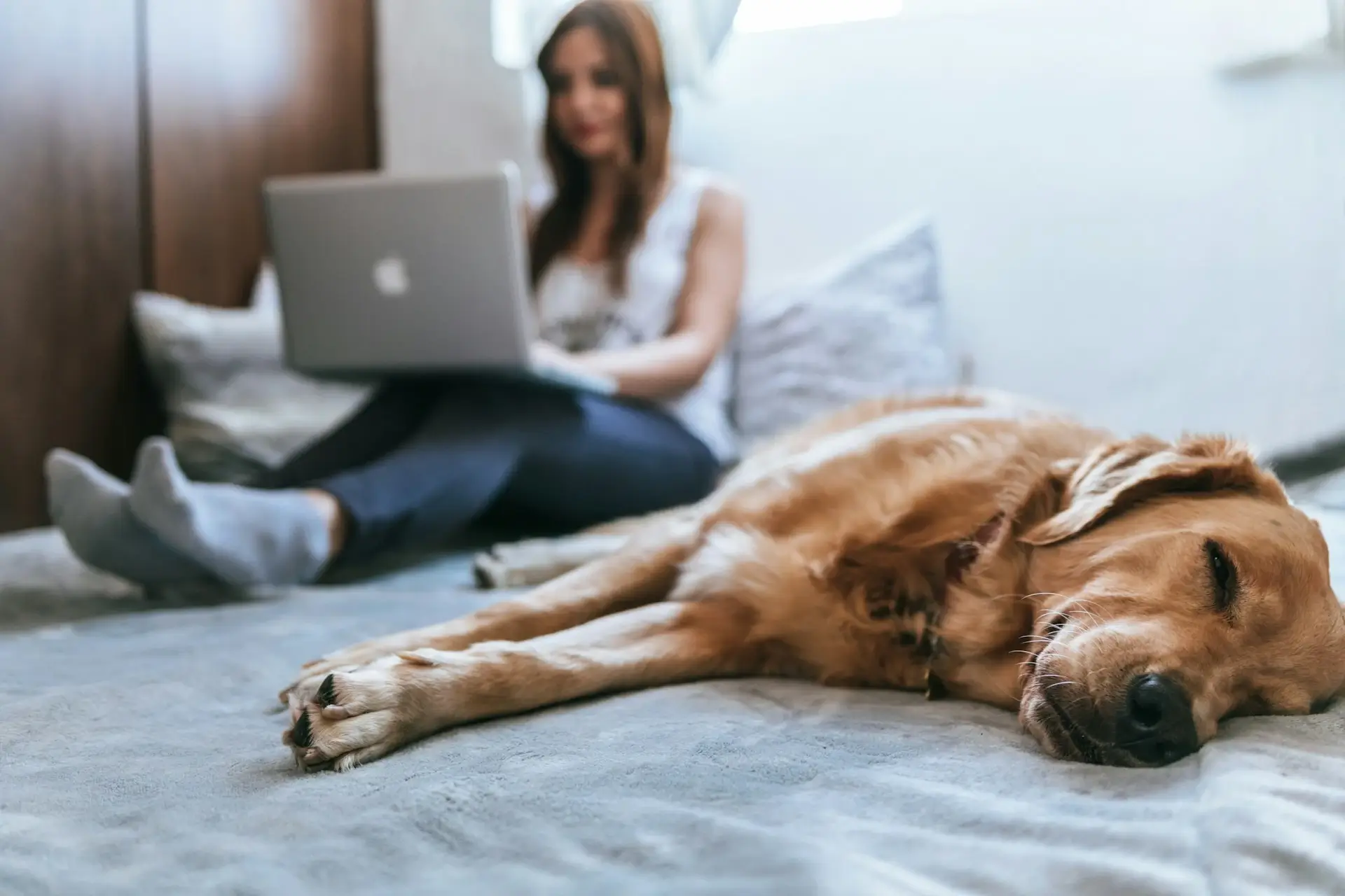 Online, a partir de qualquer lugar do mundo