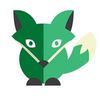 Green Fox Academy