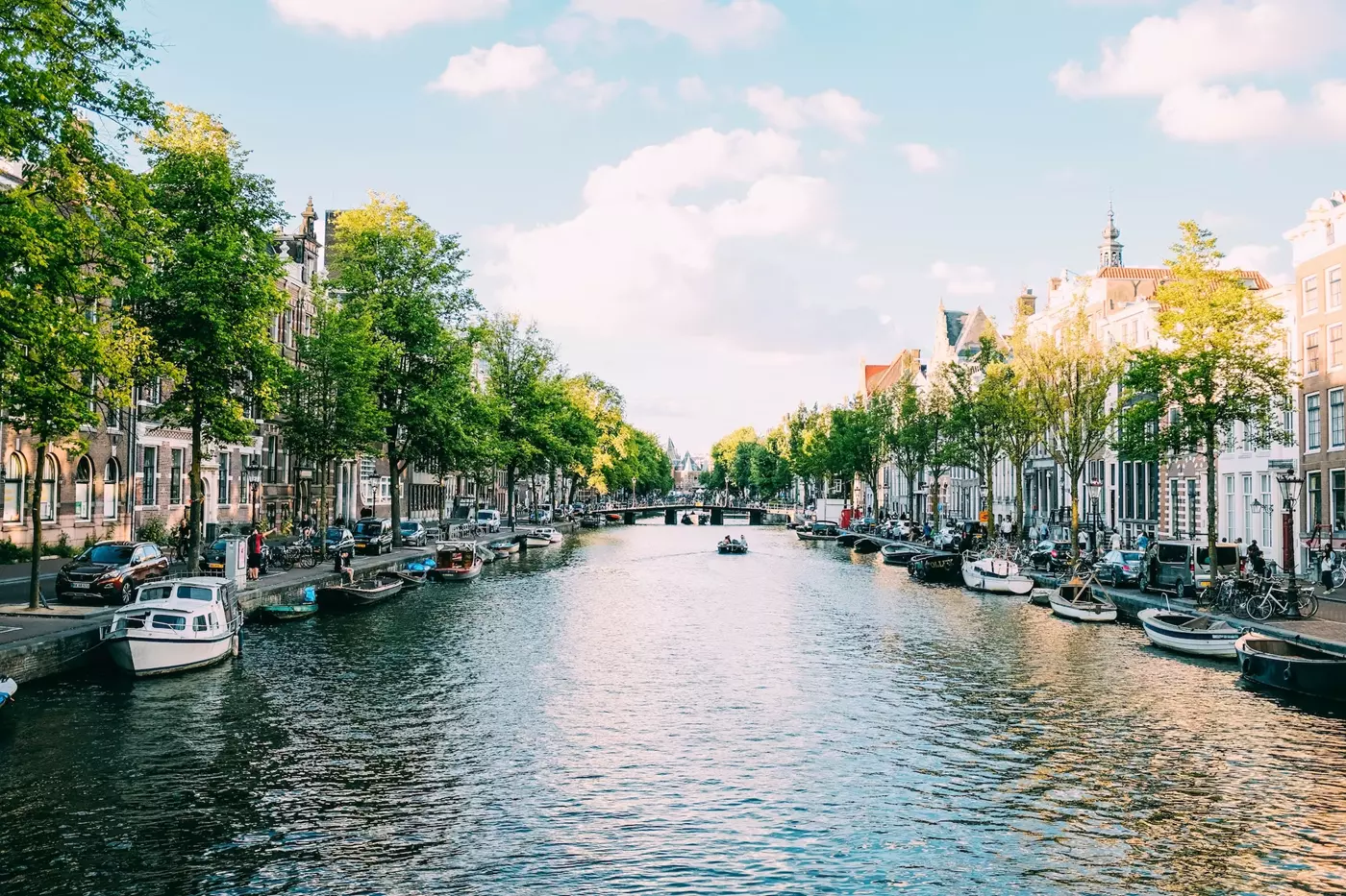 Study Online from the Netherlands