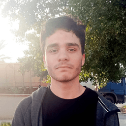 profile ? `${profile} portrait` : `${city}, ${country} student portrait`