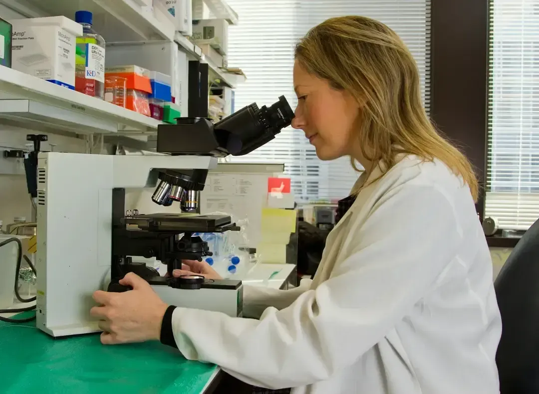 Swiss Researchers Develop Biodegradable Battery Powered by Fungi for Environmental Sensors
