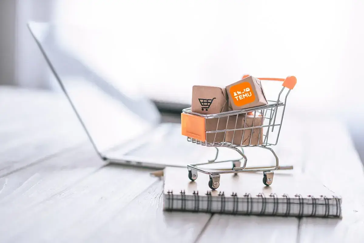 Temu: Ein Überblick über die E-Commerce-Plattform