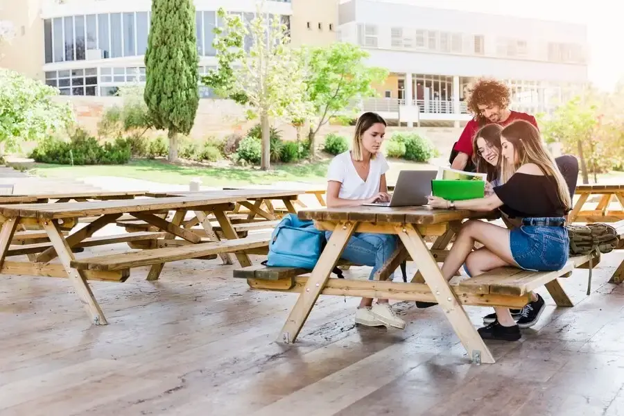 Les meilleurs collèges de l'Ontario de 2024 cover image